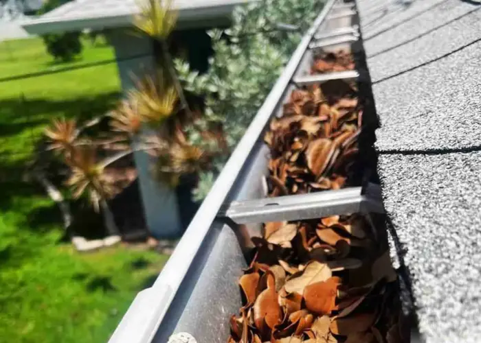 Little Silver gutter cleaning home page